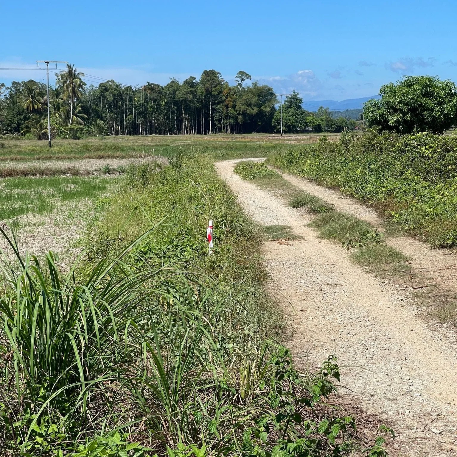 451405234_1038515951607784_4595374376921916459_n