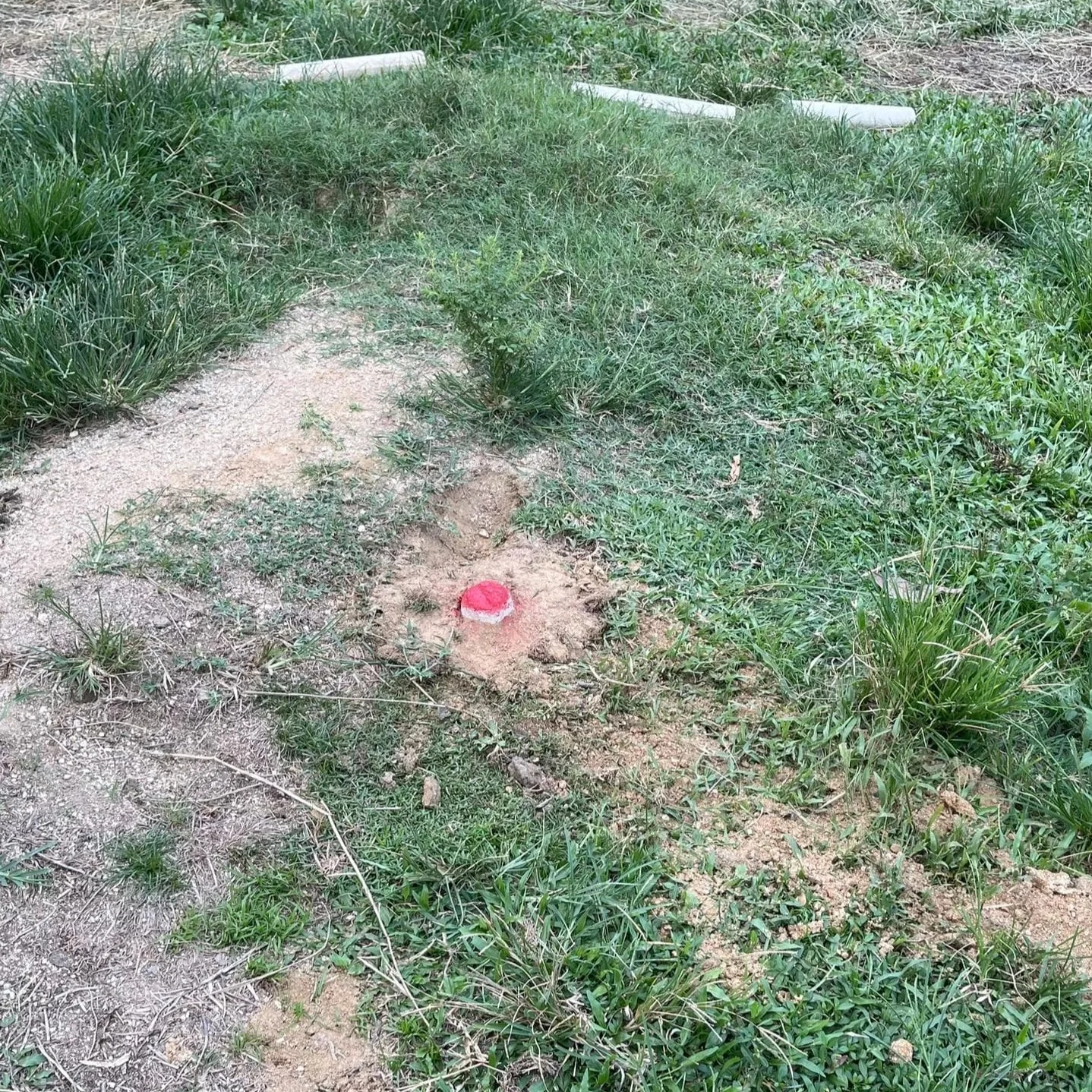 WhatsApp Image 2024-08-06 at 5.21.21 PM