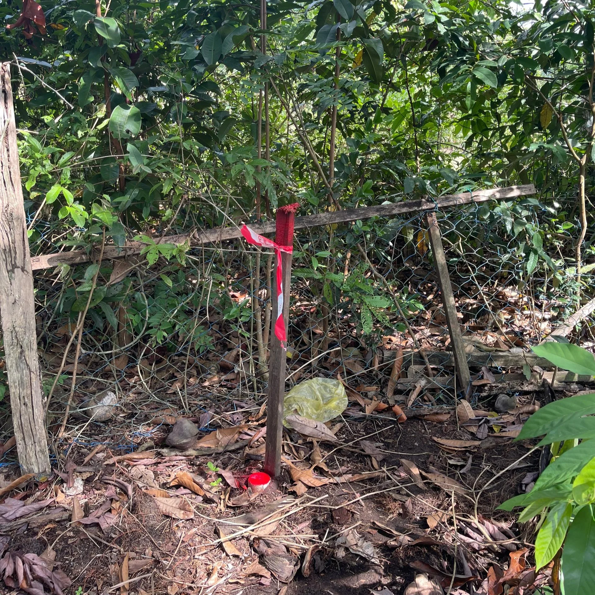 WhatsApp Image 2024-08-07 at 5.12.01 PM